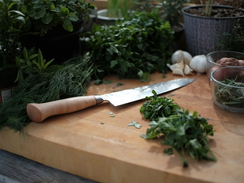 Urban Gardening in The Kitchen