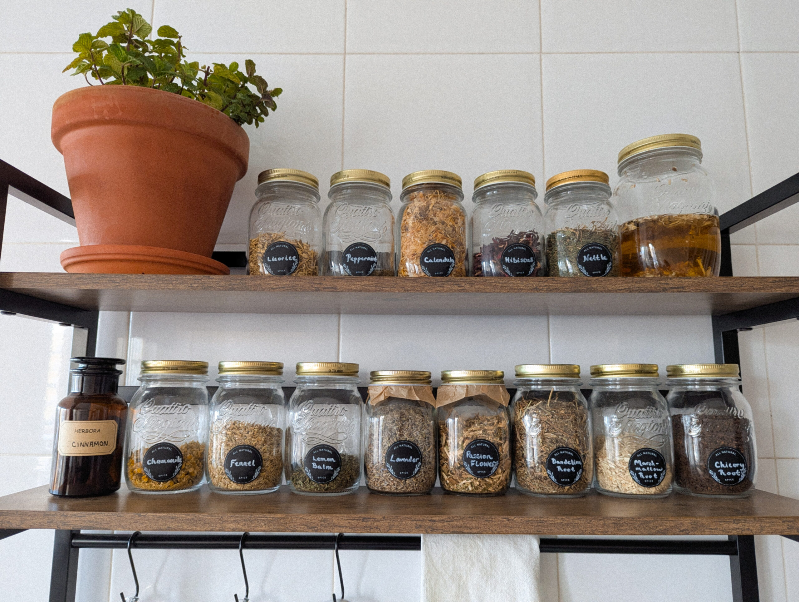 Herbal Apothecary Kitchen Set Up